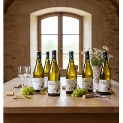 Une table en bois clair dans une pièce rustique, une fenêtre en pierre à croisillons. Six bouteilles de vin blanc "Lili Bio"sur la table, prêtes pour la dégustation. Des grappes de raisins verts, des feuilles d'automne et des bouchons de liège, ajoute une touche champêtre. Deux verres à vin vides et un tire-bouchon. Un vase de marguerites blanches sur le rebord de la fenêtre.