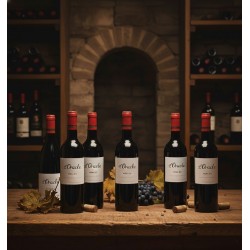 six bouteilles de vin rouge "L'Oracle Merlot" alignées sur une table en bois rustique.Une cave à vin traditionnelle, avec des murs en pierre et des étagères remplies. Des feuilles de vigne séchées, des grappes de raisins sombres et des bouchons de liège, ajoutant une touche authentique et évoquant le terroir.Une ambiance chaleureuse, propice à la découverte et à l'appréciation du vin.