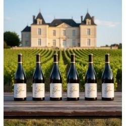 Grand Cru du Château,six bouteilles de vin rouge "F de Flandry" sur une table en bois clair. Un vaste vignoble s'étend à perte de vue, avec des rangées de vignes verdoyantes qui mènent à un majestueux château français à Limoux.l'ambiance évoquant la richesse du terroir et le savoir-faire ancestral. Une véritable invitation à la découverte du vin et de son origine prestigieuse.