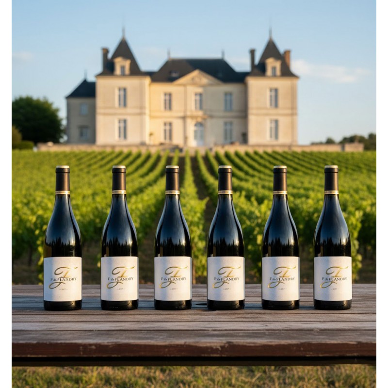 Grand Cru du Château,six bouteilles de vin rouge "F de Flandry" sur une table en bois clair. Un vaste vignoble s'étend à perte de vue, avec des rangées de vignes verdoyantes qui mènent à un majestueux château français à Limoux.l'ambiance évoquant la richesse du terroir et le savoir-faire ancestral. Une véritable invitation à la découverte du vin et de son origine prestigieuse.
