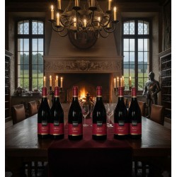 Six bouteilles de vin rouge Limoux "Occursus en fût de chêne" de la maison Toques & Clochers sont alignées sur une grande table en bois, dans une salle au décor de château. Un feu crépite dans une imposante cheminée en pierre, sous un grand lustre à bougies. Par les fenêtres, on aperçoit des vignobles, et une armure de chevalier monte la garde dans un coin.