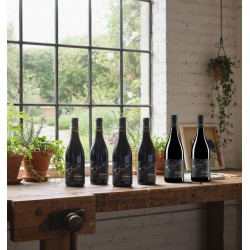 Six bouteilles de vin,"le jardin de la Malepère", sont alignées sur un établi en bois massif. La scène se déroule dans un atelier ou une pièce lumineuse, avec un mur de briques blanches et une grande fenêtre donnant sur un jardin verdoyant. Des plantes en pot et des outils de dessin à proximité ajoutent une touche artisanale et naturelle à la composition.