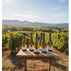 Six bouteilles chardonnay Marin élevés en fût de chêne au cœur d'un vignoble.Une table en bois rustique est dressée en plein air. On peut lire le mot "LIMOUX",appellation d'origine du vin.le vignoble s'étend à perte de vue.On aperçoit une chaîne de montagnes,sous un ciel bleu clair et dégagé,qui évoque la richesse du terroir et d'une dégustation de vin en pleine nature.