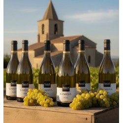 six bouteilles de vin blanc"Toques & Clochers", appellation "Limoux", cuvée "Autan" élevé en fût de chêne. Les bouteilles sont posées sur une caisse en bois, accompagnées de grappes de raisin blanc. En arrière-plan, on aperçoit un vignoble et une église en pierre sous un ciel clair.