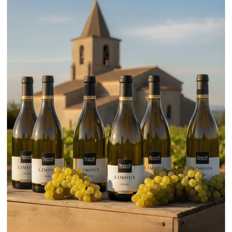 six bouteilles de vin blanc"Toques & Clochers", appellation "Limoux", cuvée "Autan" élevé en fût de chêne. Les bouteilles sont posées sur une caisse en bois, accompagnées de grappes de raisin blanc. En arrière-plan, on aperçoit un vignoble et une église en pierre sous un ciel clair.