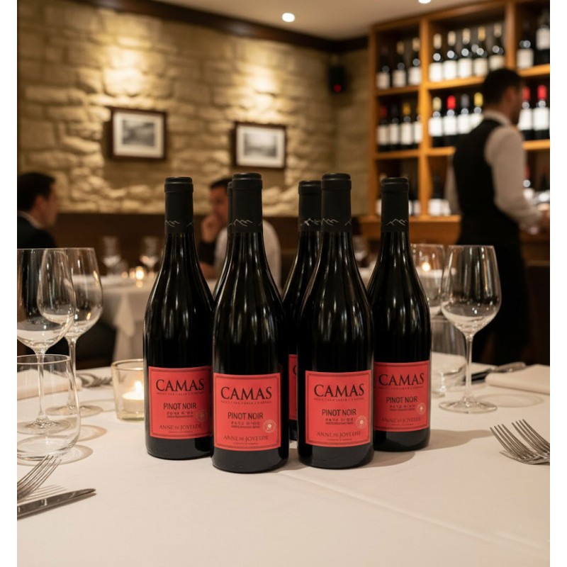 Une table dressée dans un restaurant, avec six bouteilles de vin rouge "CAMAS PINOT NOIR". La table est recouverte d'une nappe blanche sur laquelle sont également disposés des verres à vin, des couverts et une bougie allumée, créant une atmosphère chaleureuse.On peut voir d'autres tables occupées par des clients, ainsi qu'un mur en pierres apparentes orné de cadres. Un serveur se tient derrière un bar ou un comptoir où de nombreuses autres bouteilles de vin sont rangées sur des étagères. L'éclairage est tamisé, typique d'un dîner élégant.
