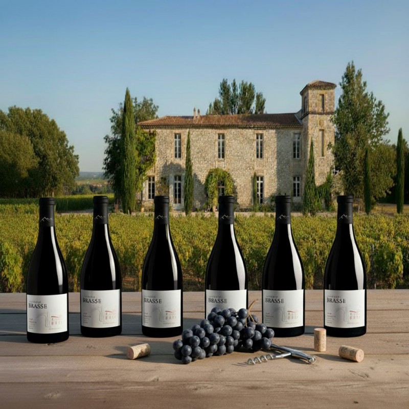 six bouteilles de vin rouge sont alignées sur une table en bois. Les bouteilles ont une étiquette blanche sur laquelle on peut lire "CHÂTEAU DE BRASSE". Il y a une grappe de raisin noir, un tire-bouchon et quelques bouchons de liège.On aperçoit un vignoble qui s'étend jusqu'à un grand bâtiment en pierre de style ancien le château sur la commune de Cournanel dans l' Aude. La scène évoque une dégustation de vin dans un domaine viticole.