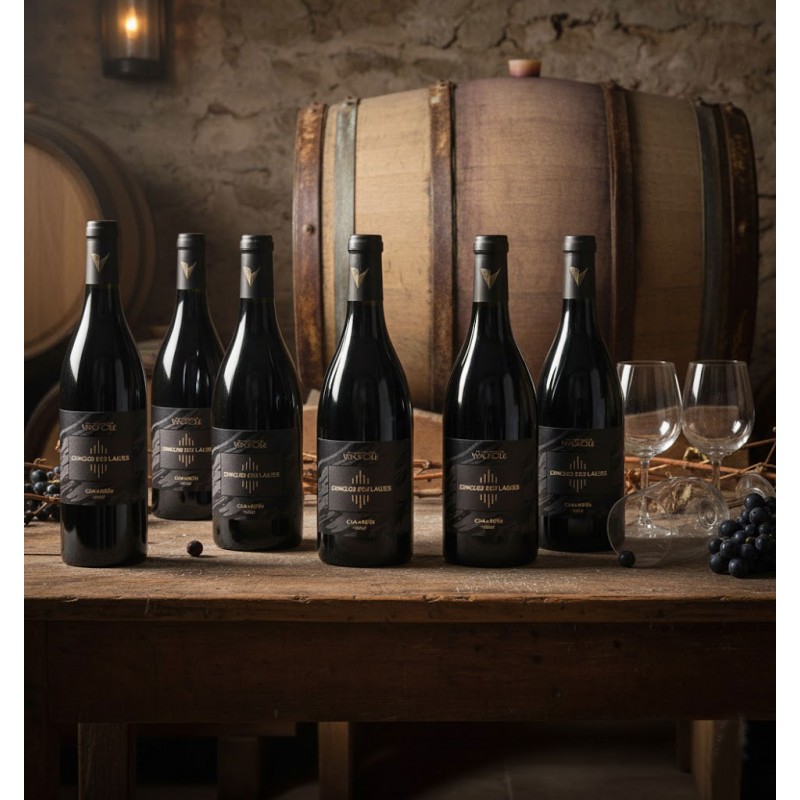 six bouteilles L'enclos des Lauzes Cabardès cave a vin Vendéole élevé en fût de chêne disposées sur une table en bois rustique.Des murs en pierre et de grands fûts de chêne, créant une atmosphère authentique et traditionnelle.On trouve des verres à vin vides, dont un est renversé, et des grappes de raisin noir, suggérant une dégustation récente ou à venir. L'éclairage est tamisé, avec une source de lumière chaude provenant d'une lanterne en arrière-plan, ce qui ajoute une ambiance chaleureuse et intime à la composition.