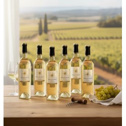 six bouteilles de vin blanc Chenin sont alignées. Le vin a une teinte dorée claire. Chaque bouteille porte une étiquette blanche avec une étoile stylisée à huit branches et le nom "Rose des Vents".Un verre est à moitié rempli de vin. Une grappe de raisins blancs repose sur un linge blanc, à côté d'un tire-bouchon. A travers une fenêtre, on aperçoit un paysage de vignobles verdoyants sous un ciel clair, avec quelques cyprès au loin. L'ambiance évoque une dégustation de vin dans un cadre rural et ensoleillé.