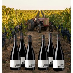 Six bouteilles du vin rouge"Chemin de Moscou" élevé en fût de chêne sont fièrement présentées au cœur du vignoble, au milieu des rangs d'un vignoble baigné par la lumière dorée du soleil couchant. En arrière-plan, un tracteur rouge vintage est garé dans l'allée, tandis que les vignes sont chargées de grappes de raisin noir, évoquant la richesse du terroir et le travail de la vigne.