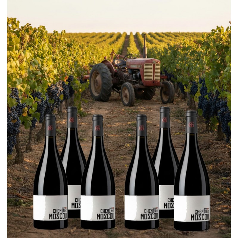 Six bouteilles du vin rouge"Chemin de Moscou" élevé en fût de chêne sont fièrement présentées au cœur du vignoble, au milieu des rangs d'un vignoble baigné par la lumière dorée du soleil couchant. En arrière-plan, un tracteur rouge vintage est garé dans l'allée, tandis que les vignes sont chargées de grappes de raisin noir, évoquant la richesse du terroir et le travail de la vigne.
