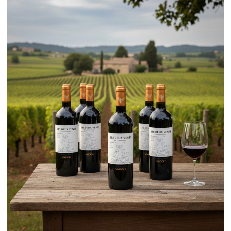 Sur une table en bois rustique, six bouteilles de vin rouge Biologique "LES DEUX VENTS" cave Vendéole sont élégamment disposées, accompagnées d'un verre de vin rouge à moitié plein. En arrière-plan, un vignoble luxuriant s'étend en rangées ordonnées, menant à un domaine viticole pittoresque niché dans un paysage vallonné sous un ciel couvert.