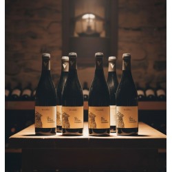 six bouteilles de vin rouge disposées sur une table en bois rustique,dans une cave à vin.Les étiquettes, portent l'inscription principale "VENDÉOLE","LE VENT TOURNE CABARDES". Les cols des bouteilles sont scellés avec une capsule de couleur argentée ou grise, et un petit logo en forme de 'V' stylisé est visible sur la capsule.Des reflets subtils sur les bouteilles et accentuant l'ambiance intime et traditionnelle. L'ensemble dégage une impression de qualité et d'authenticité, mettant en valeur le produit dans son environnement naturel de conservation.