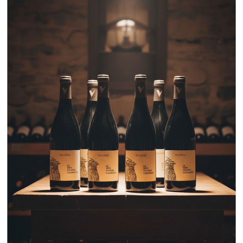 six bouteilles de vin rouge disposées sur une table en bois rustique,dans une cave à vin.Les étiquettes, portent l'inscription principale "VENDÉOLE","LE VENT TOURNE CABARDES". Les cols des bouteilles sont scellés avec une capsule de couleur argentée ou grise, et un petit logo en forme de 'V' stylisé est visible sur la capsule.Des reflets subtils sur les bouteilles et accentuant l'ambiance intime et traditionnelle. L'ensemble dégage une impression de qualité et d'authenticité, mettant en valeur le produit dans son environnement naturel de conservation.
