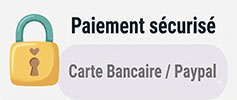 piement securise toute carte bleu paypal
